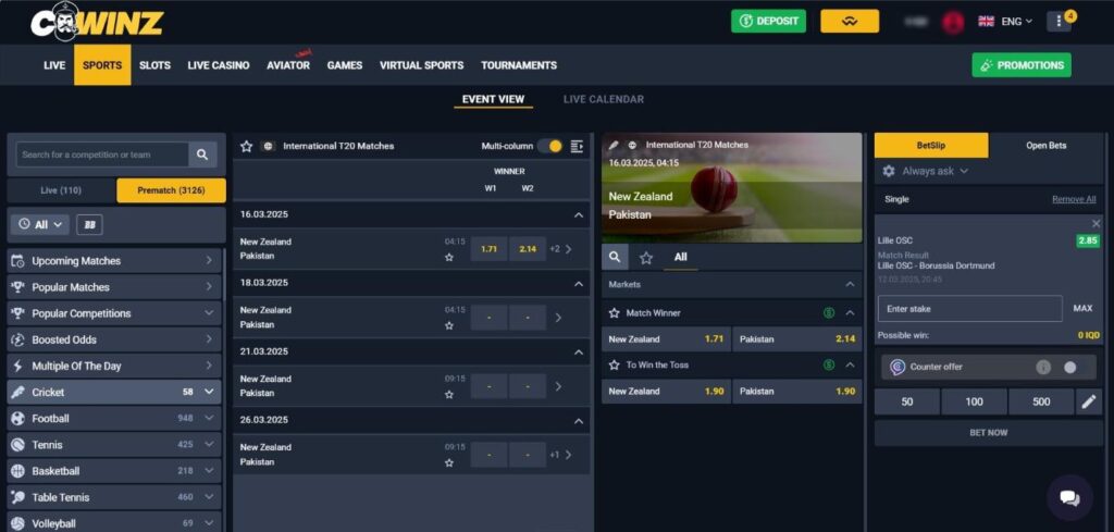 Screenshot of Cwinz betting interface