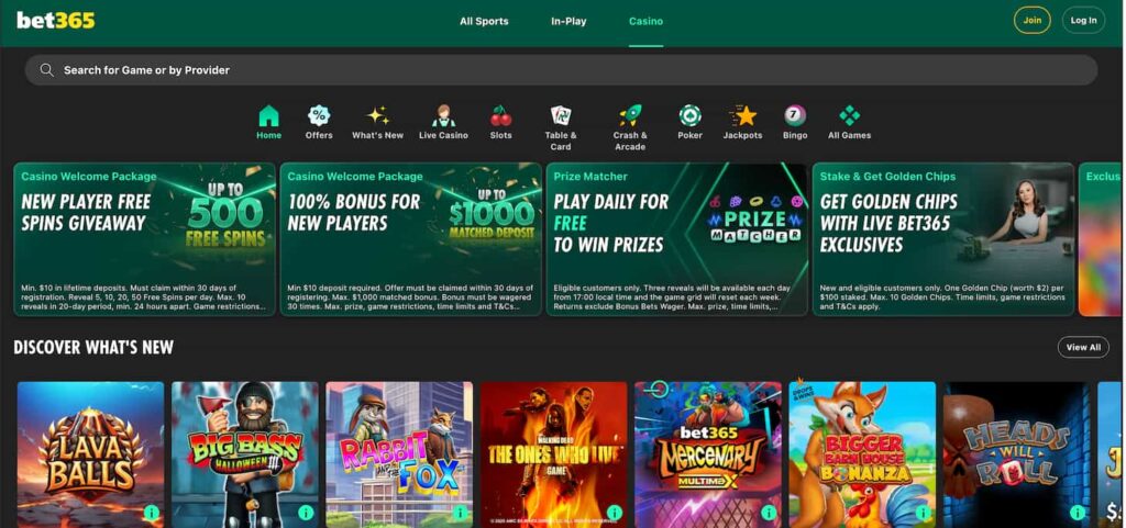betnet365 casino section